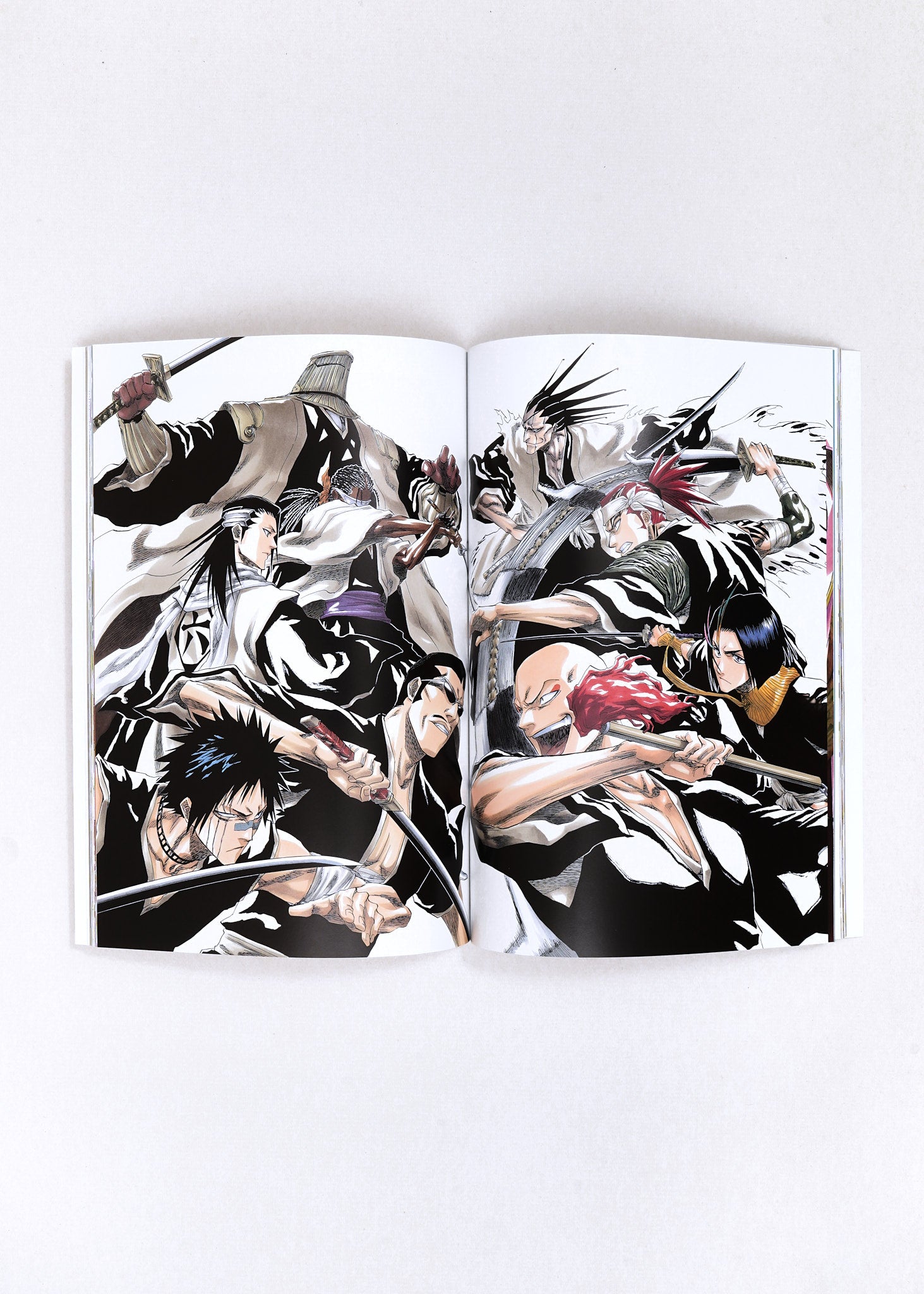 All Colour But the Black by Tite Kubo