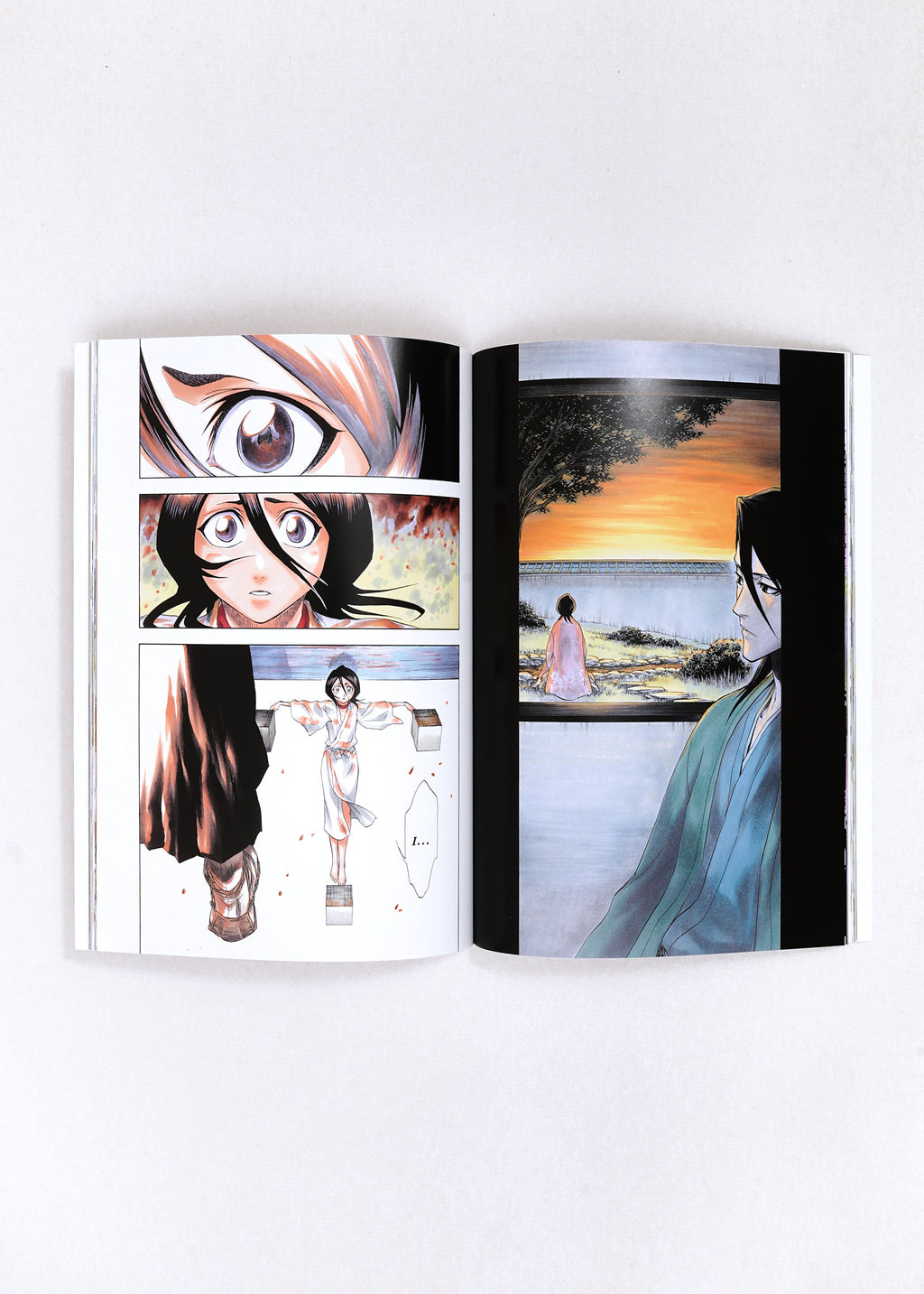 All Colour But the Black by Tite Kubo