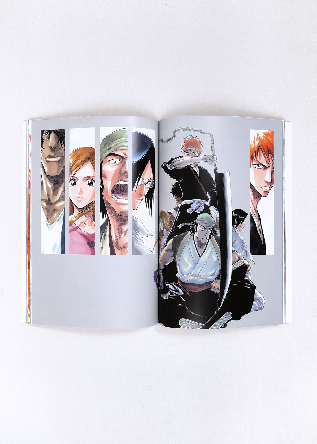 All Colour But the Black by Tite Kubo