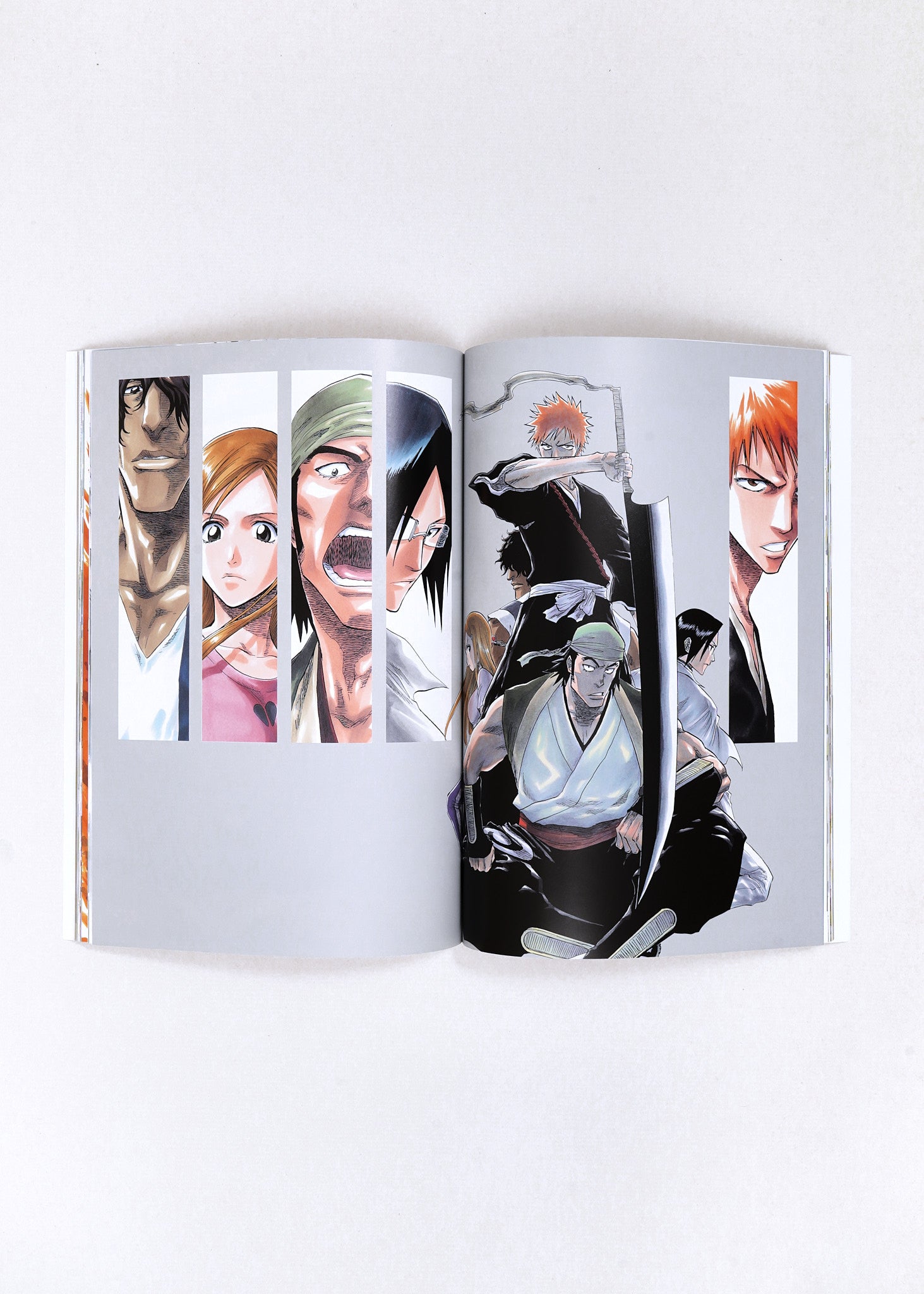 All Colour But the Black by Tite Kubo