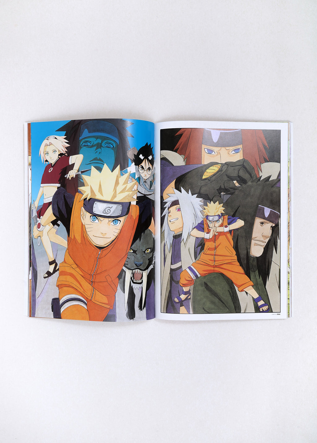 Naruto Illustration Book by Masashi Kishimoto