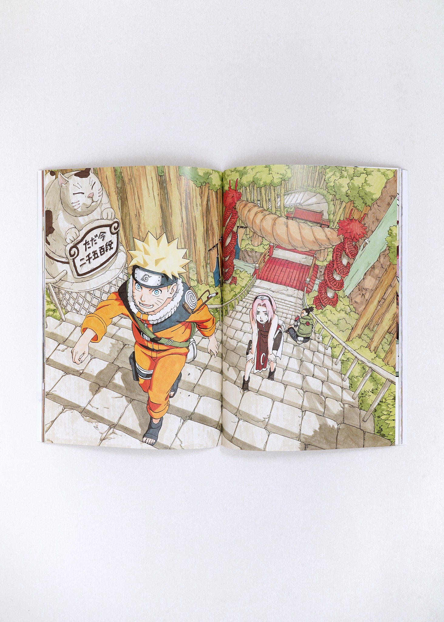 Naruto Illustration Book by Masashi Kishimoto