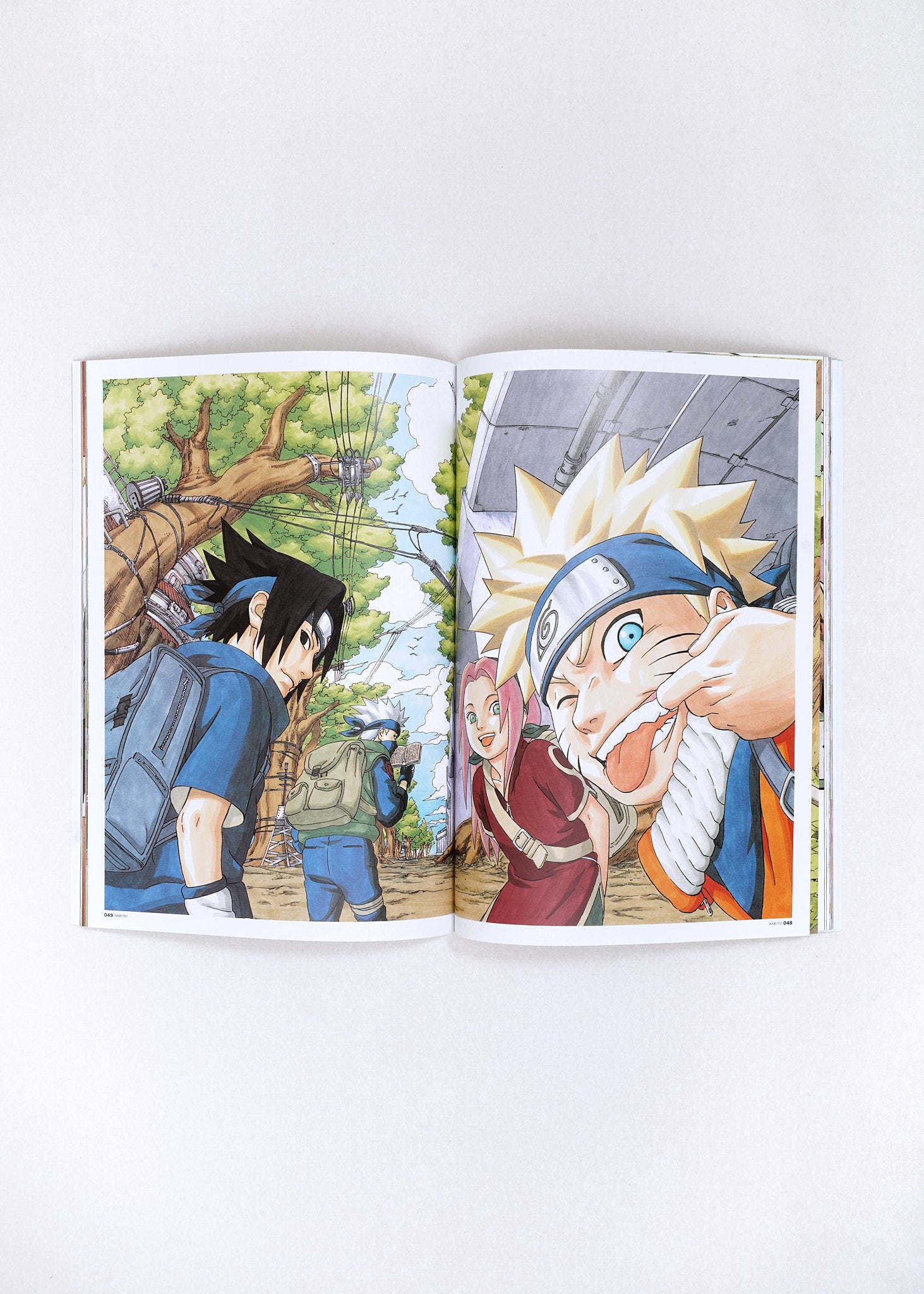 Naruto Illustration Book by Masashi Kishimoto