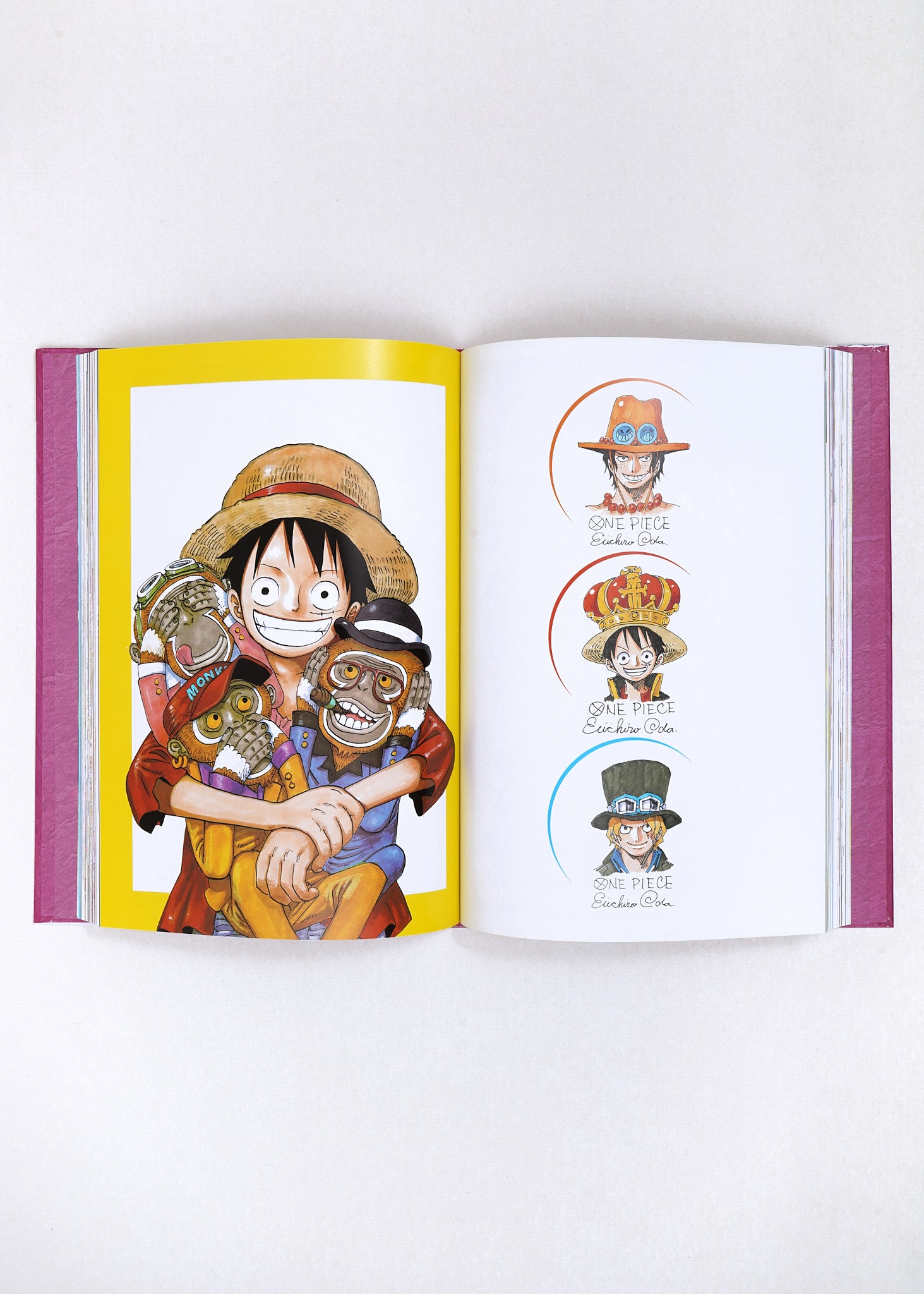 One Piece Color Walk Compendium: New World to Wano by Eichiro Oda