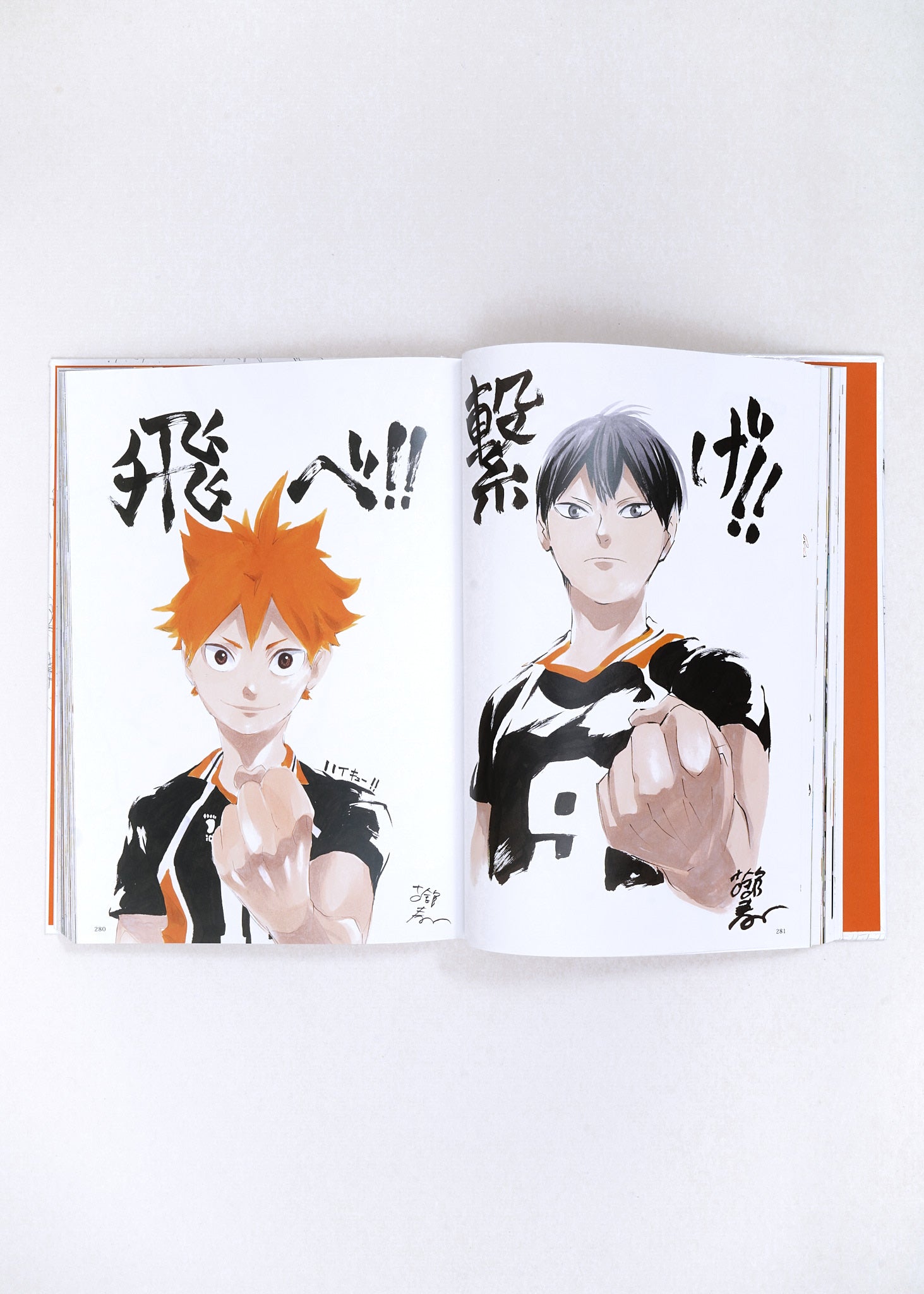 The Art of Haikyu by Haruichi Furudate