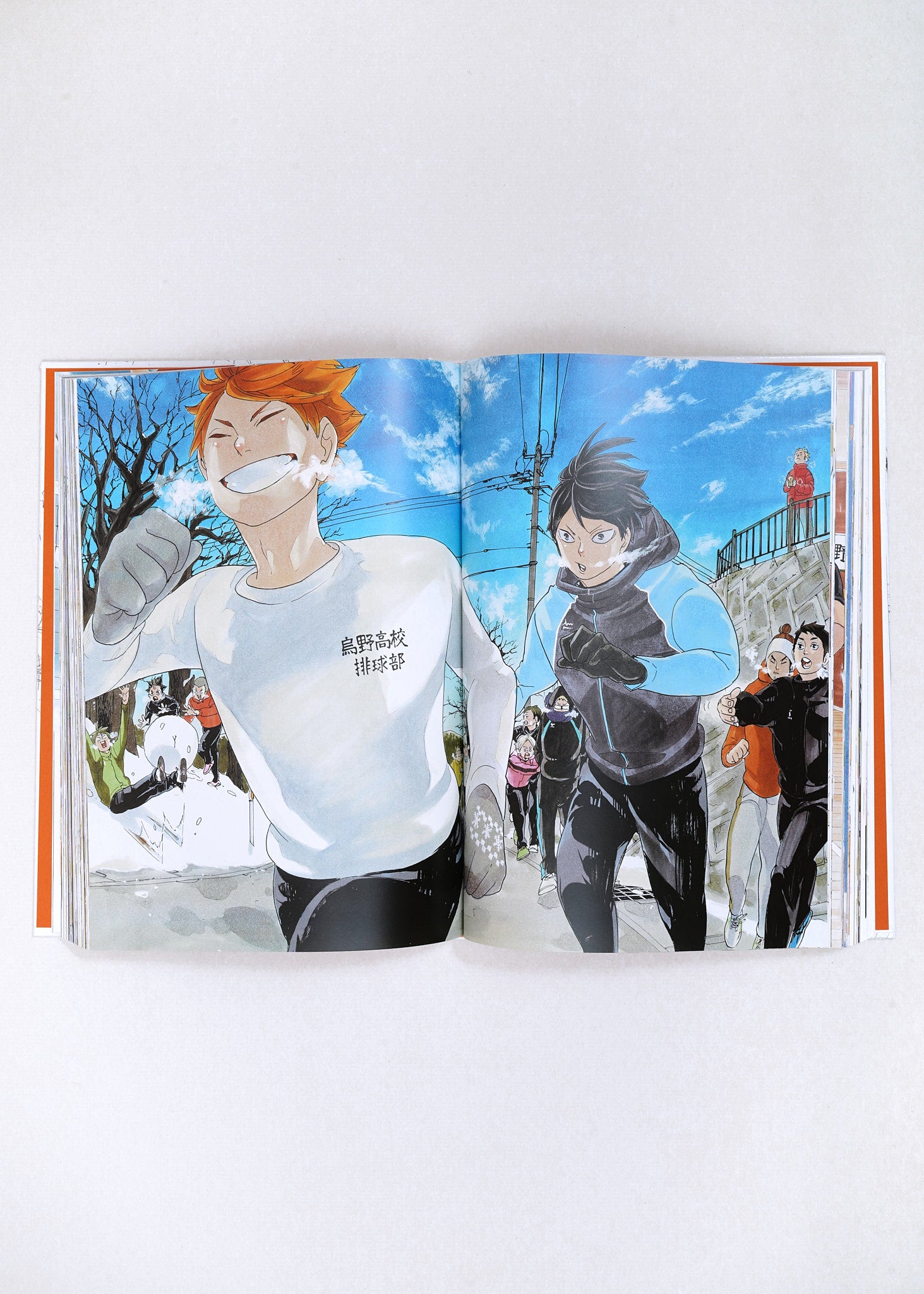 The Art of Haikyu by Haruichi Furudate