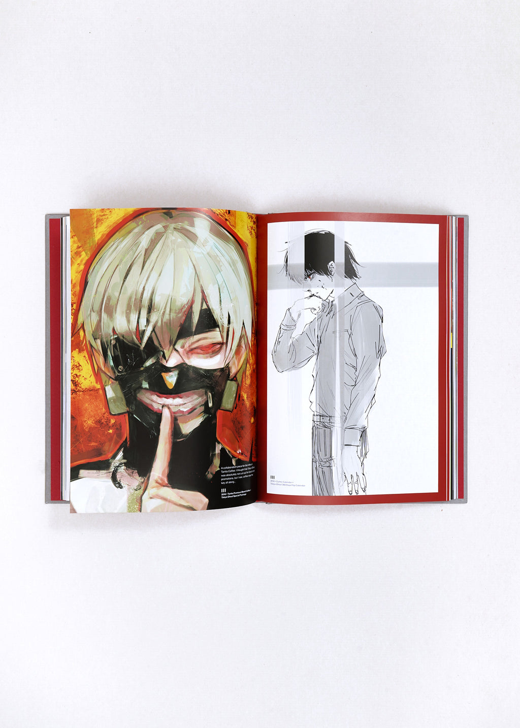 Tokyo Ghoul:re Illustrations Zakki by Sui Ishida
