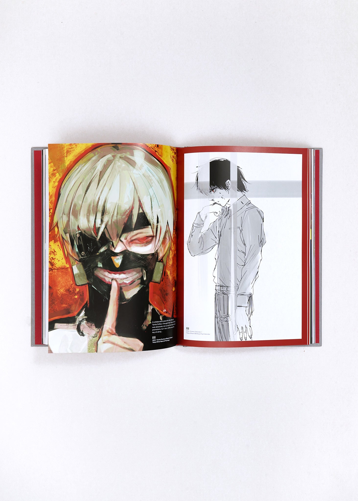Tokyo Ghoul:re Illustrations Zakki by Sui Ishida