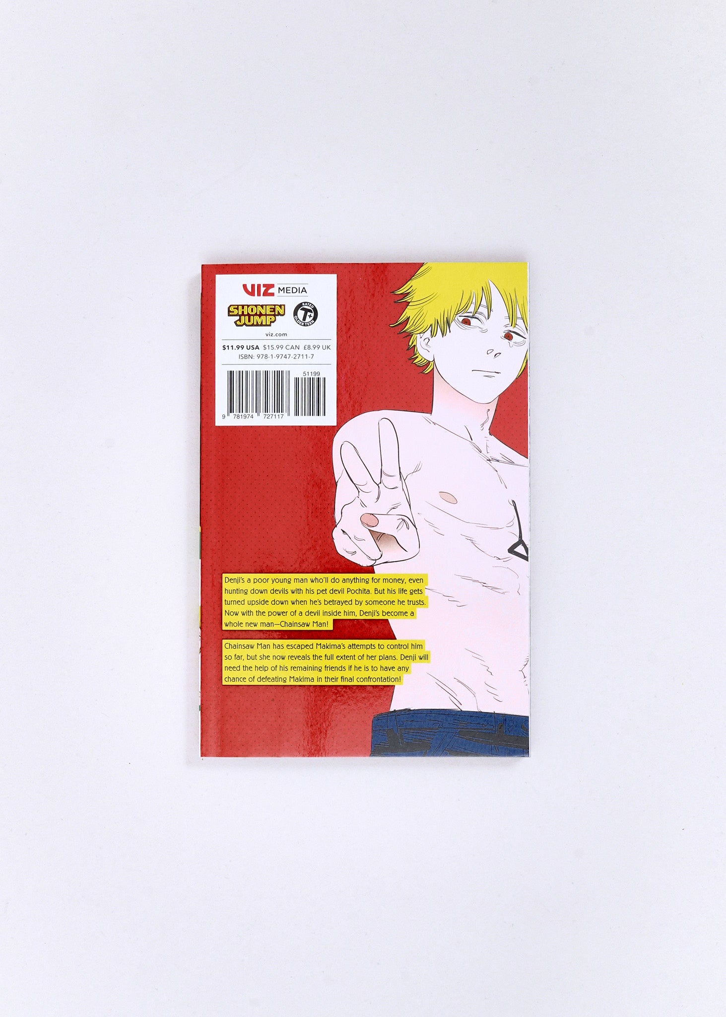Chainsaw Man, Vol. 11