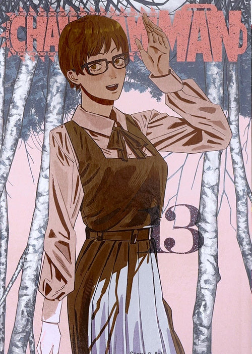 Chainsaw Man, Vol. 13