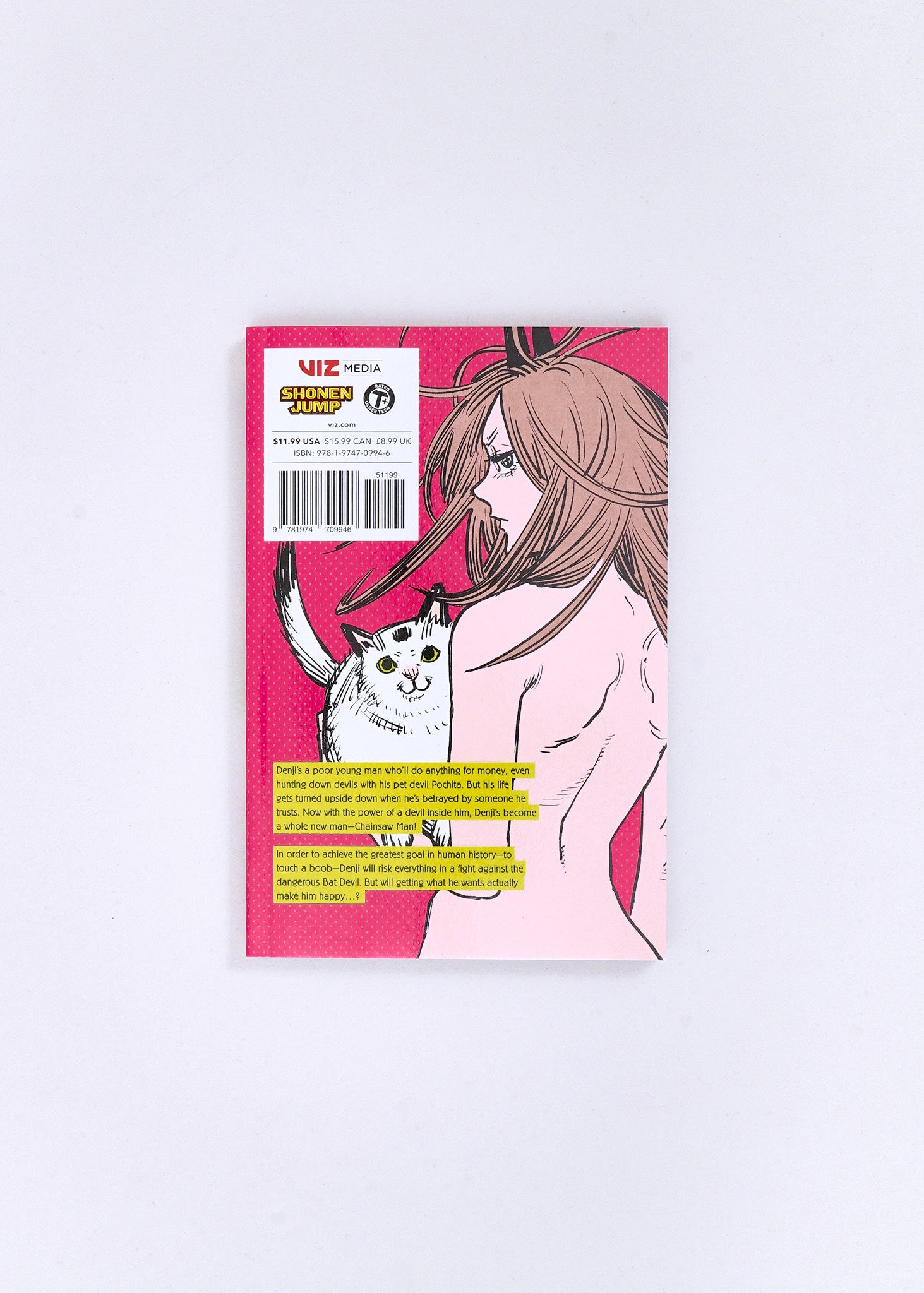 Chainsaw Man, Vol. 2