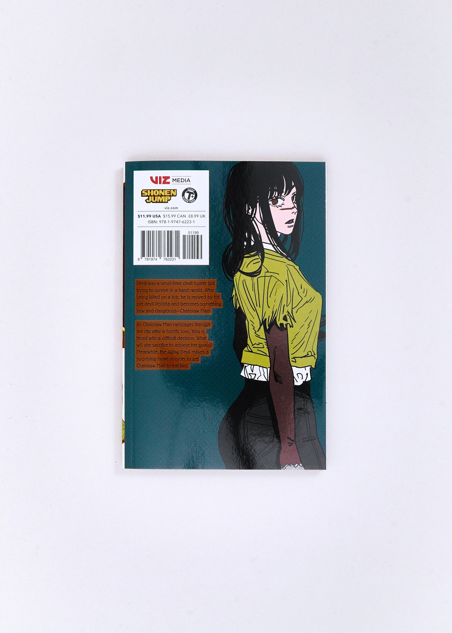 Chainsaw Man, Vol. 20