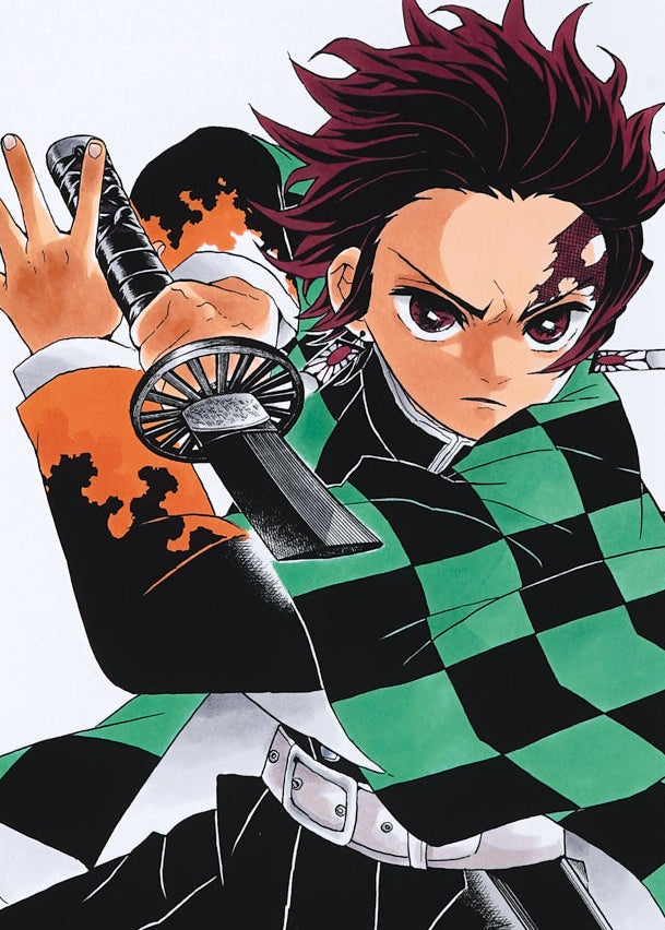 Demon Slayer Artcut — (Tanjiro) 035