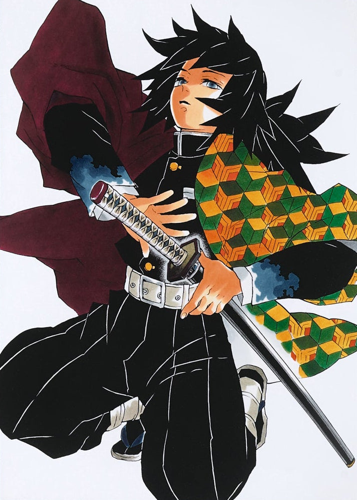Demon Slayer Artcut — (Giyu Tomioka) 044