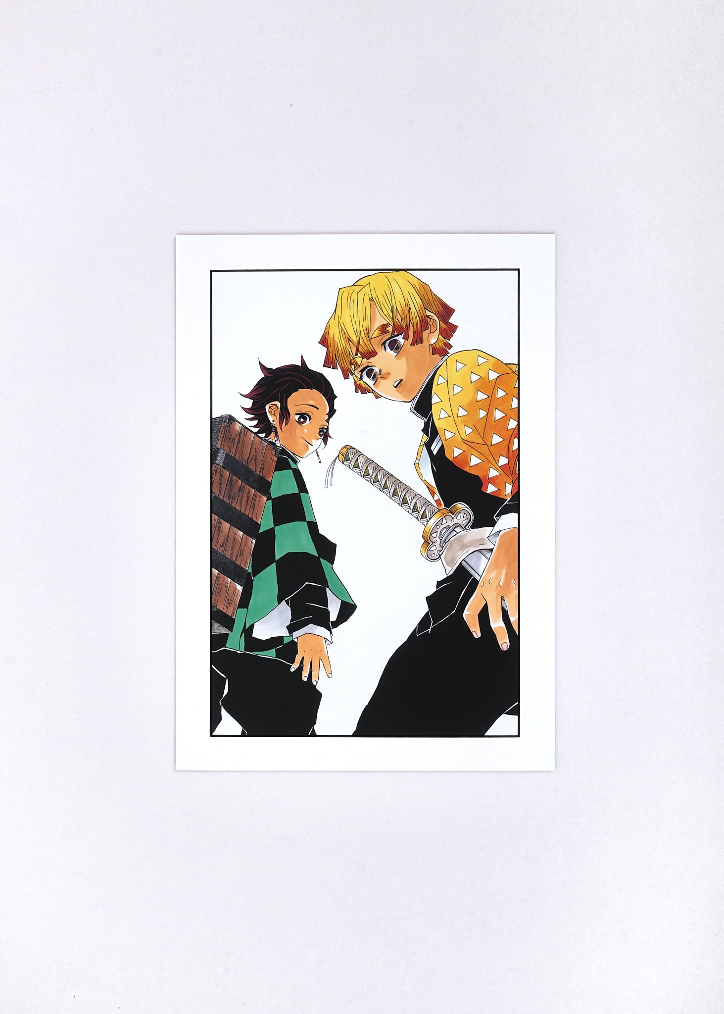 Demon Slayer Artcut — (Tanjiro & Zenitsu) 048