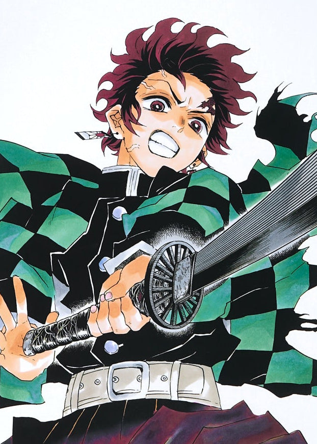 Demon Slayer Artcut — (Tanjiro) 050