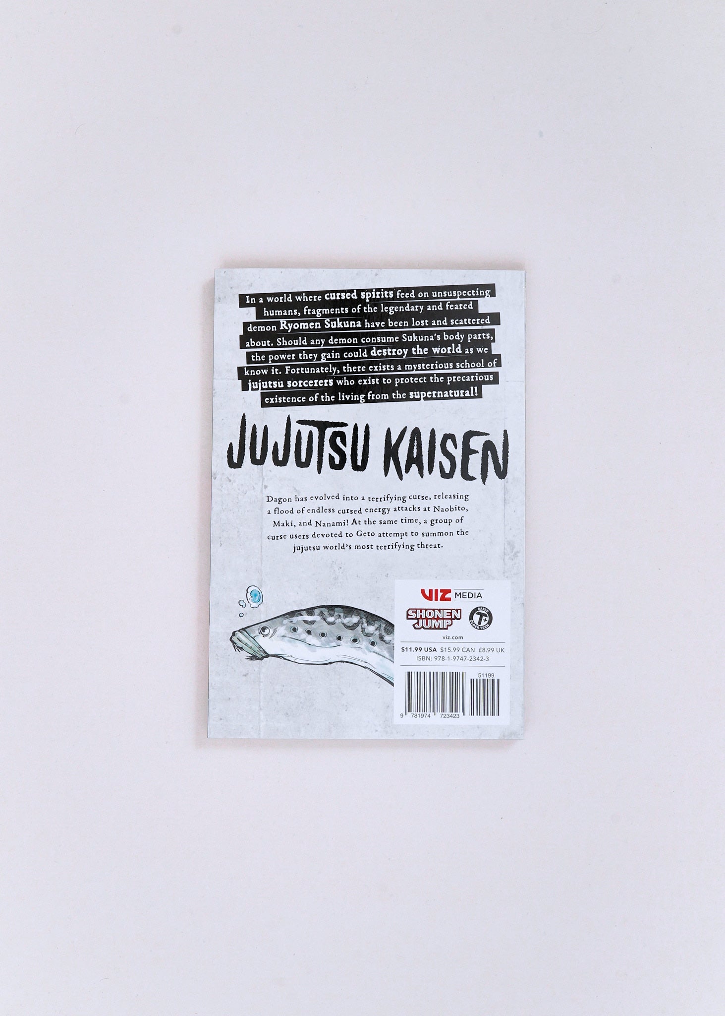 Jujutsu Kaisen, Vol. 13