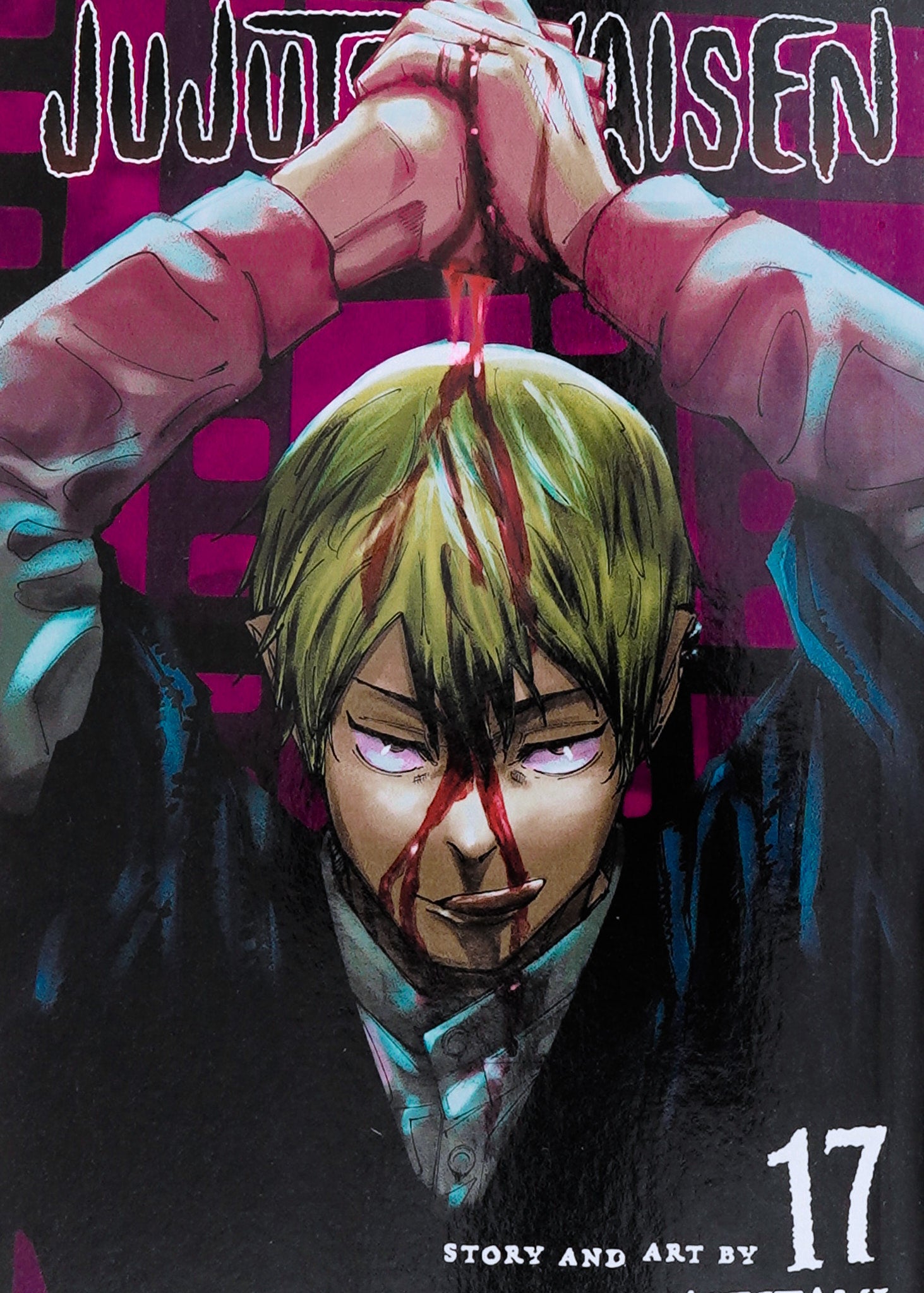 Jujutsu Kaisen, Vol. 17