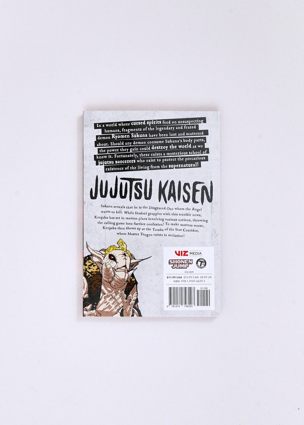 Jujutsu Kaisen, Vol. 23