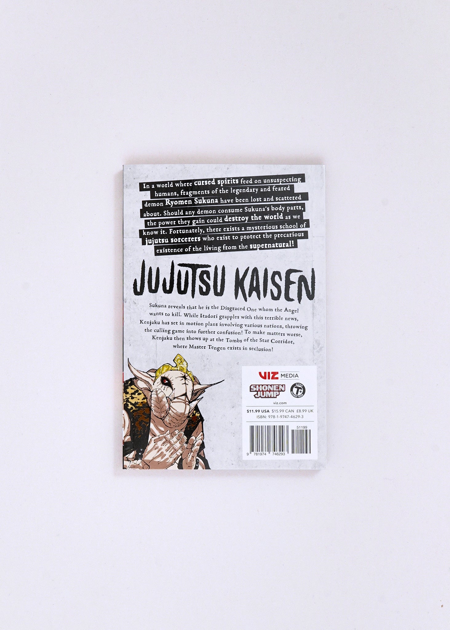 Jujutsu Kaisen, Vol. 23