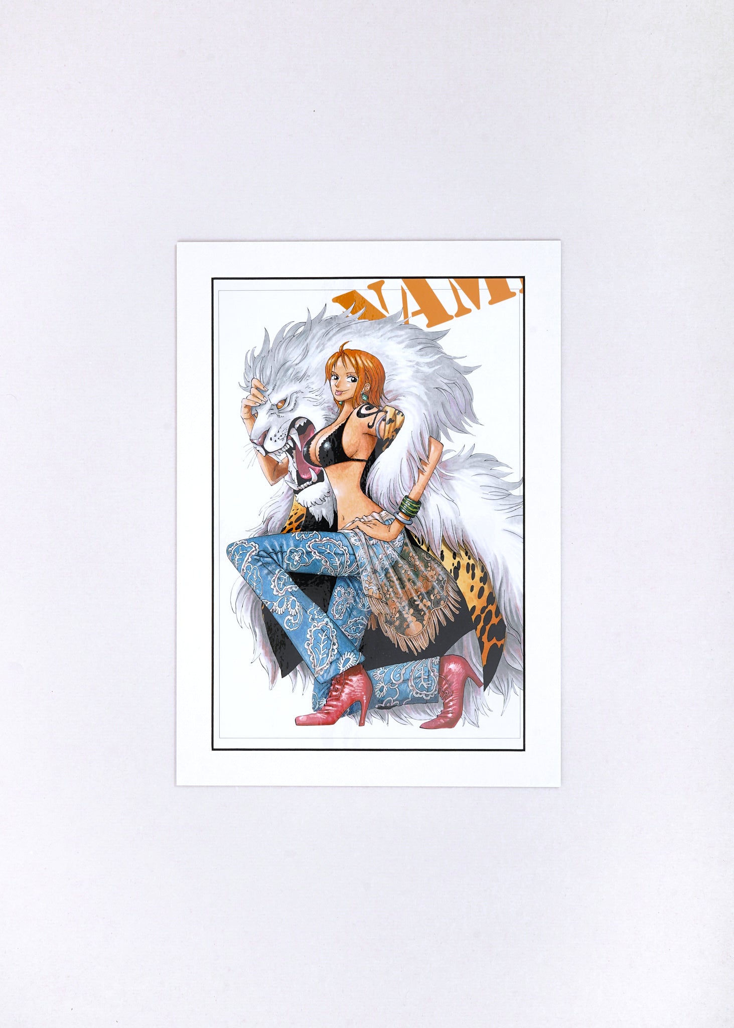 One Piece Artcut — (Nami) 092