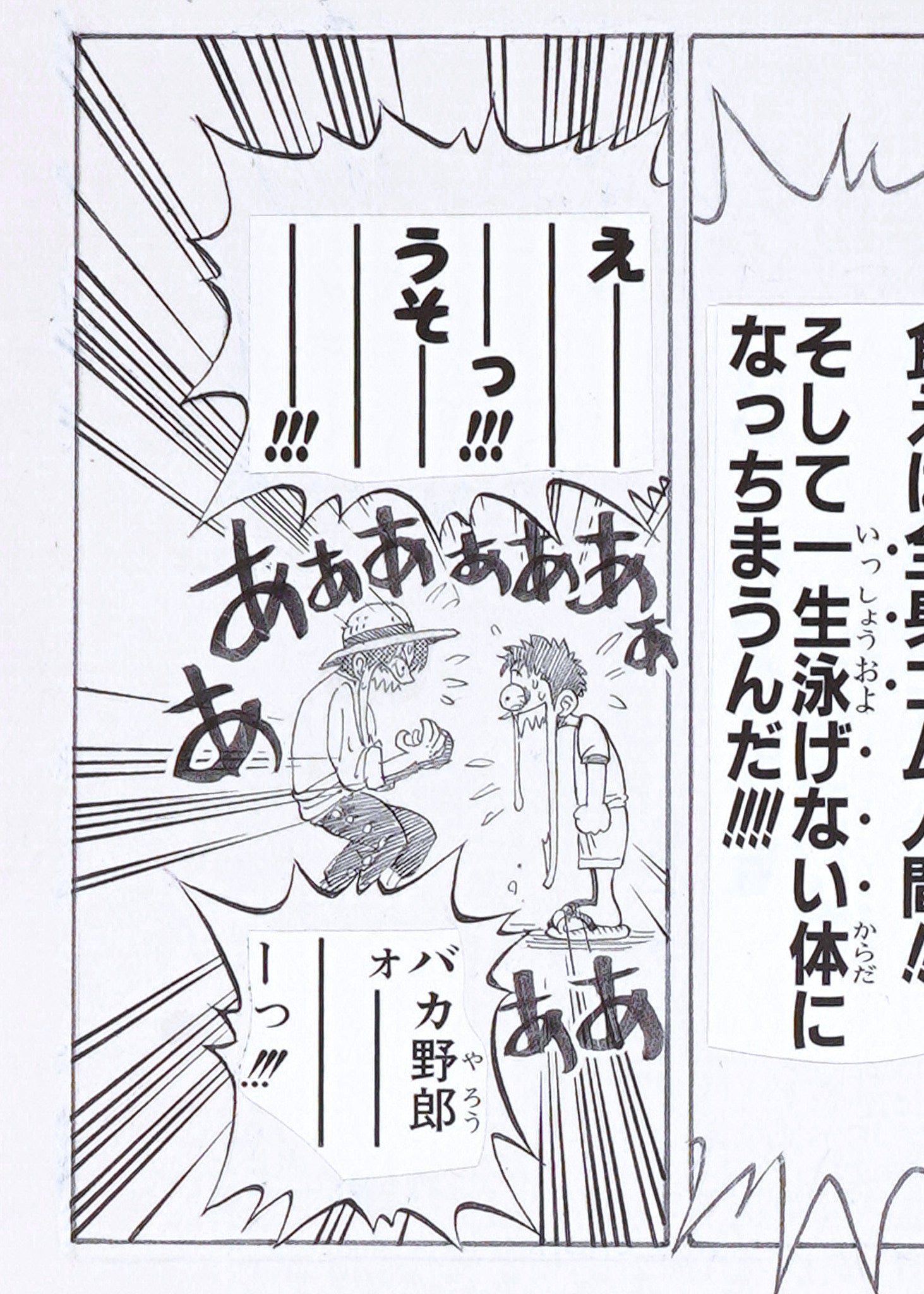 One Piece Limited Print — The Idiot Ate It (Luffy & Shanks)