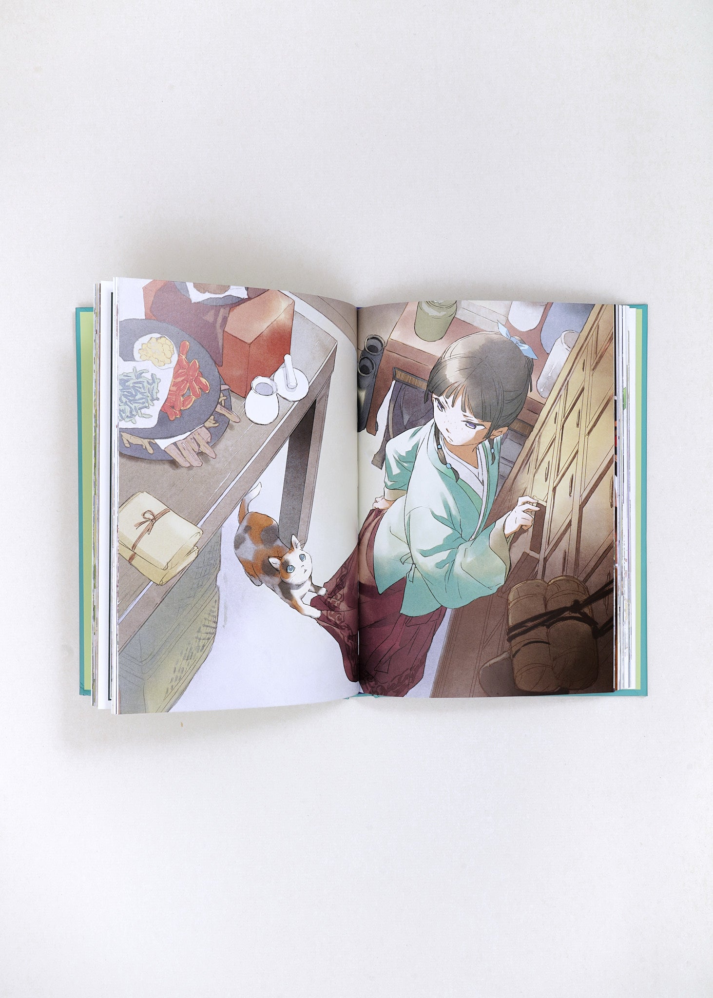 The Apothecary Diaries Art Book by Touko Shino
