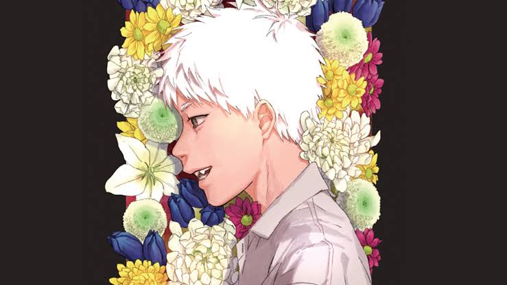 The Summer Hikaru Died