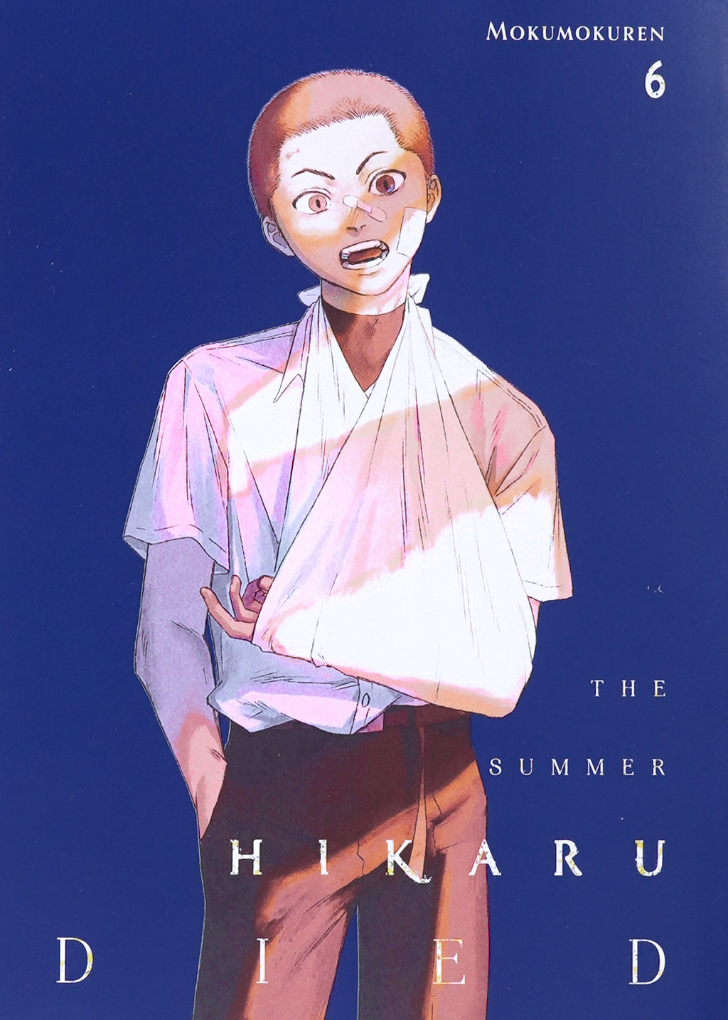 The Summer Hikaru Died, Vol. 6