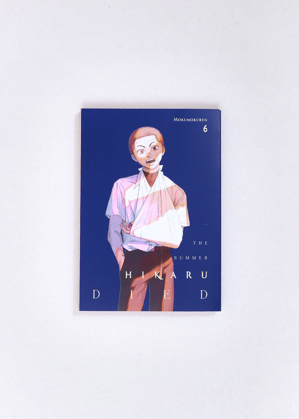 The Summer Hikaru Died, Vol. 6