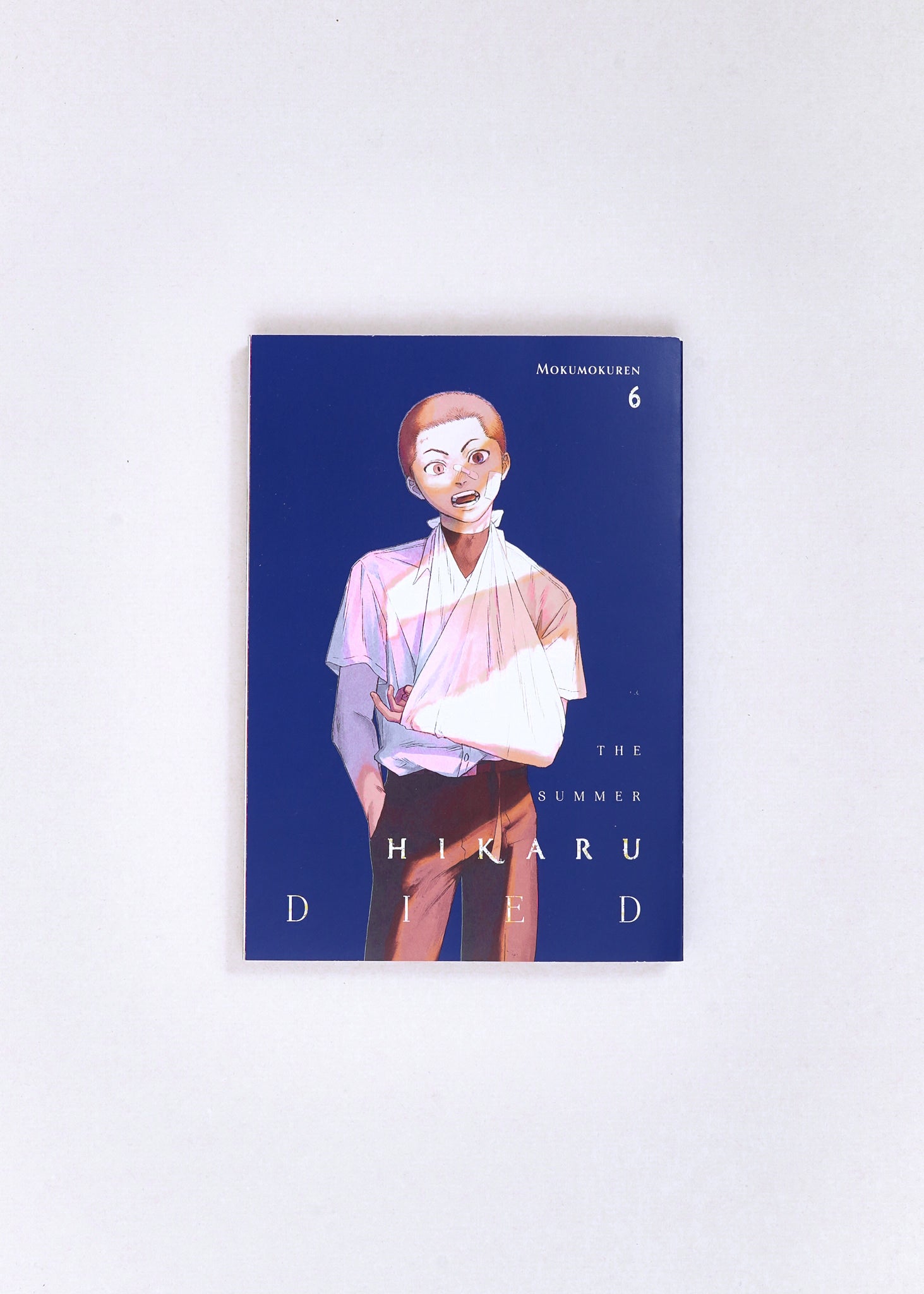 The Summer Hikaru Died, Vol. 6