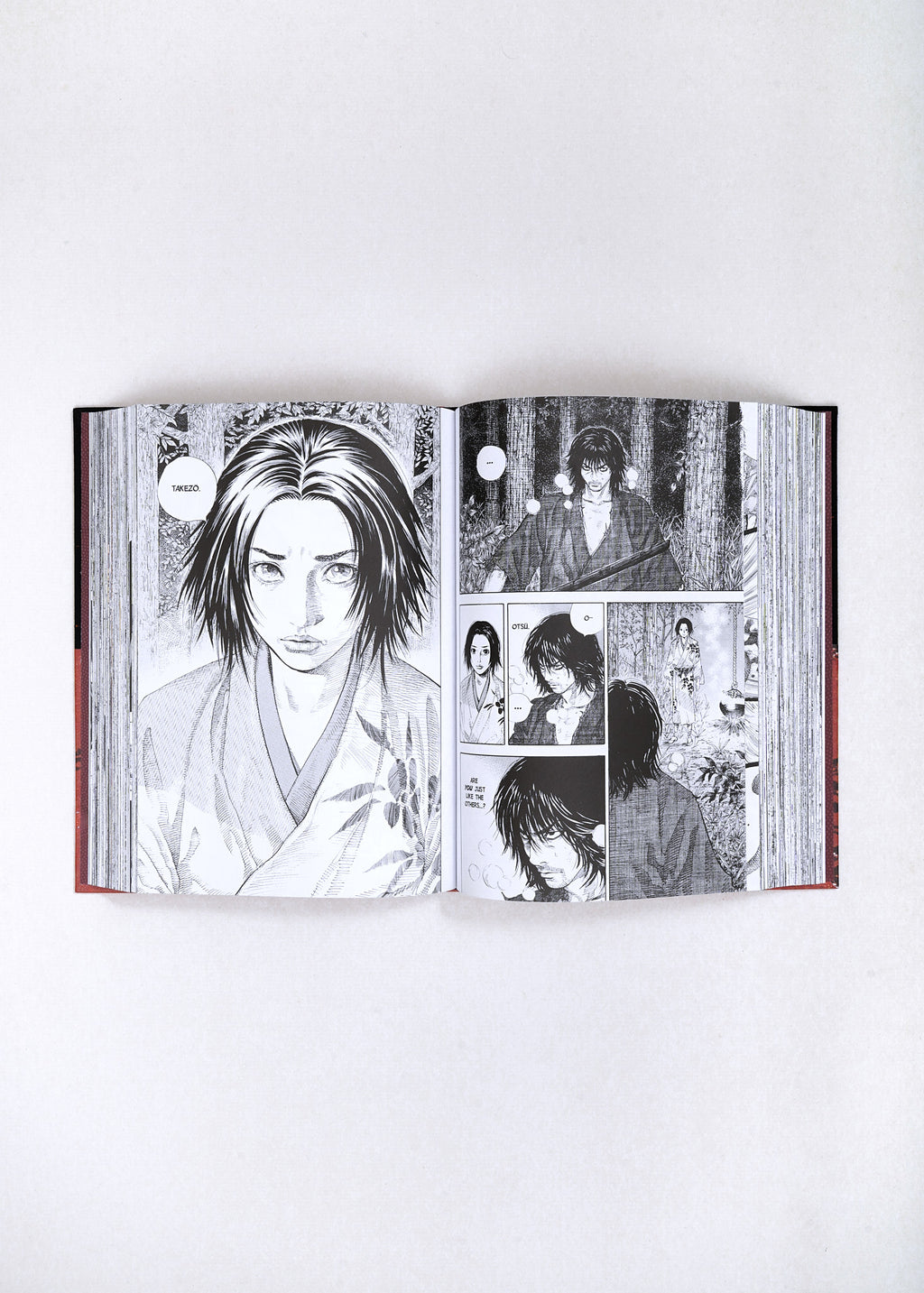 Vagabond Definitive Edition, Vol. 1