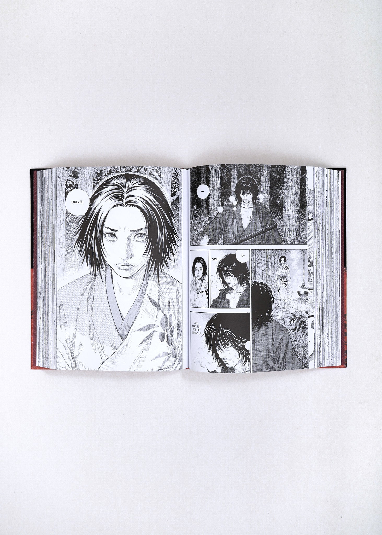 Vagabond Definitive Edition, Vol. 1